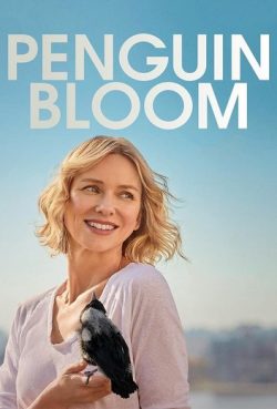 Penguin Bloom (2021) เพนกวิน บลูม ดูหนังฟรี HD หนังแนะนำ Netflix