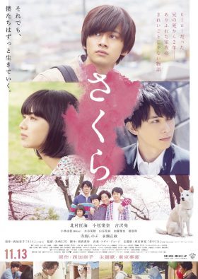 ดูหนังญี่ปุ่น Sakura (2020) เต็มเรื่อง หนังฟรี 4K | MOVIESINHOME